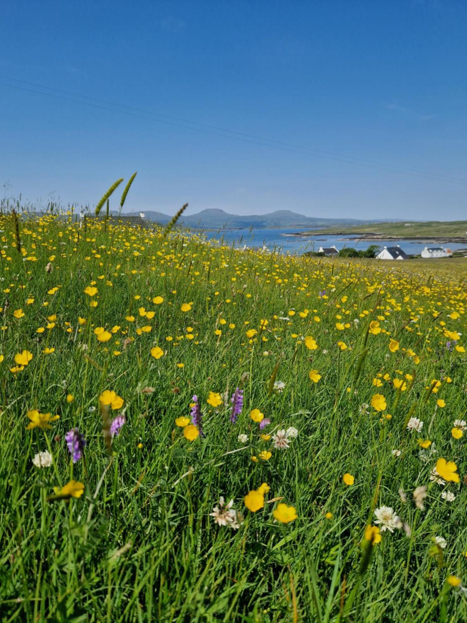 Ornum Self Catering Cottage Eabost Esterno foto
